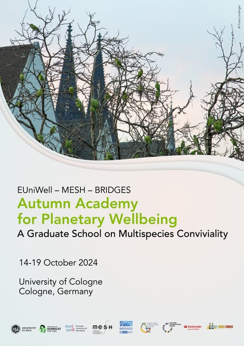 Autumn Academy for Planetary Wellbeing